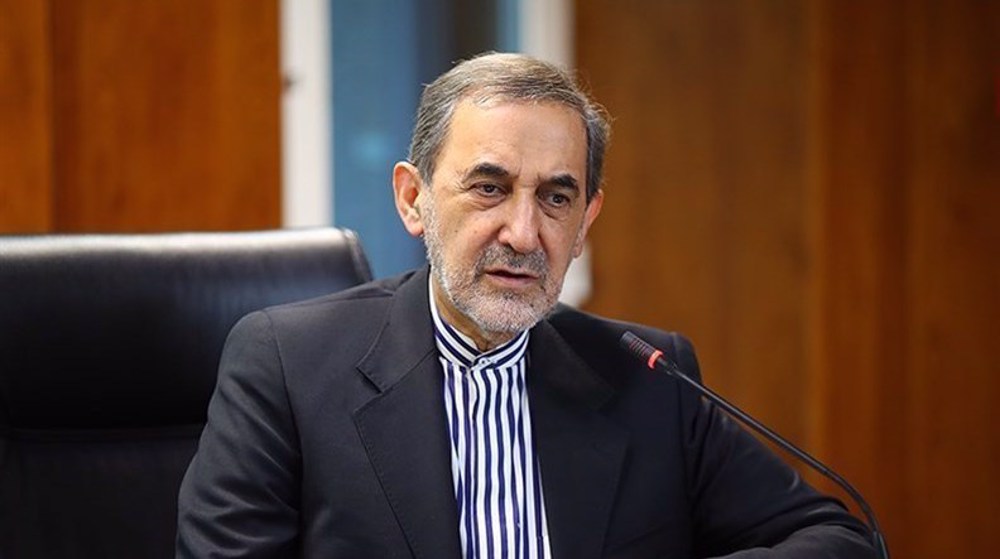 Leader’s advisor warns of ‘chain reaction’ to any mischief