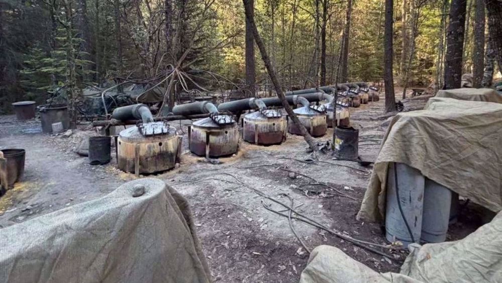 Two US embassy officials killed in car crash in Mexico were CIA agents: Report