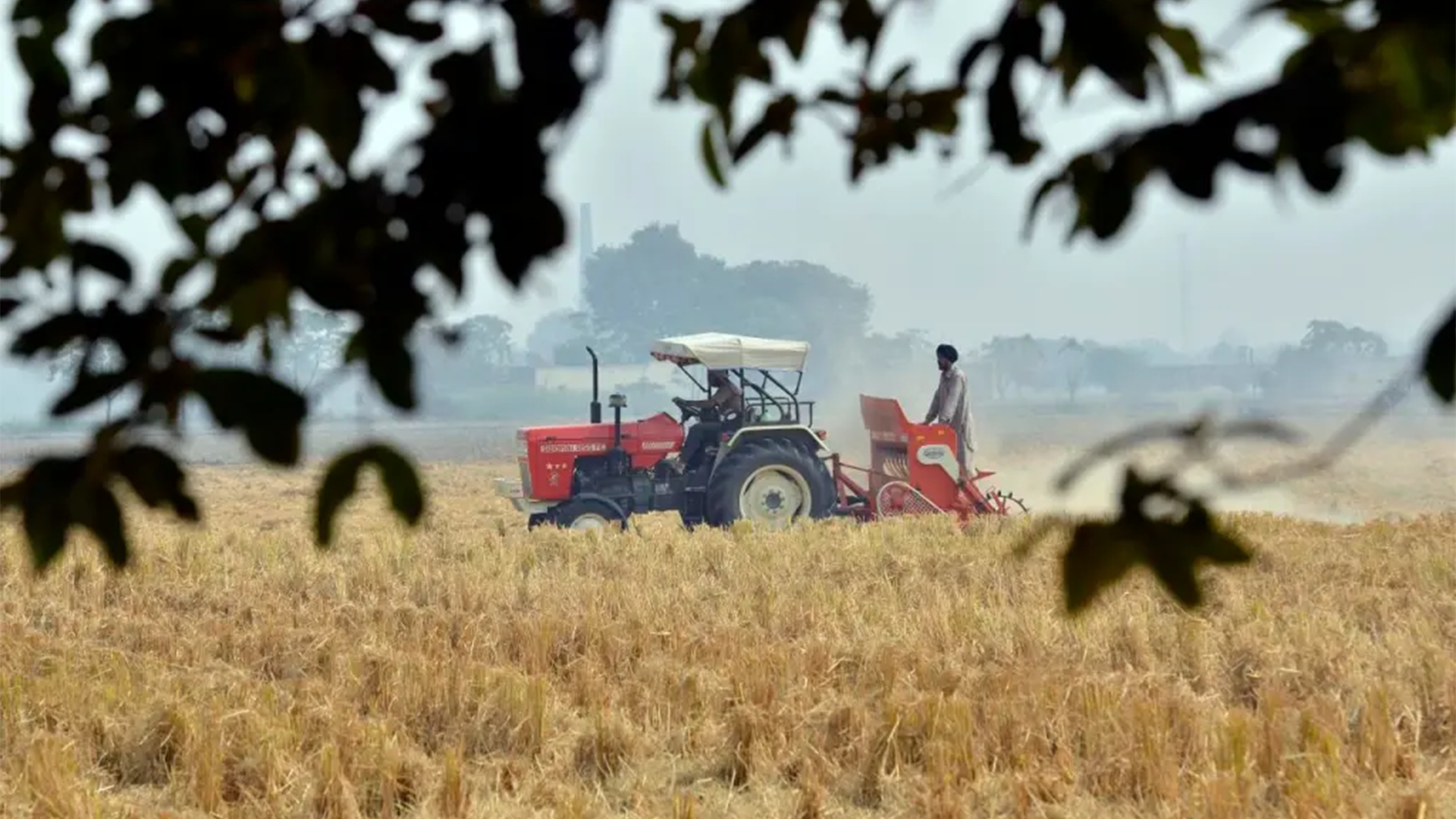 India’s farmers under pressure as Hormuz crisis disrupts fertilizer supplies