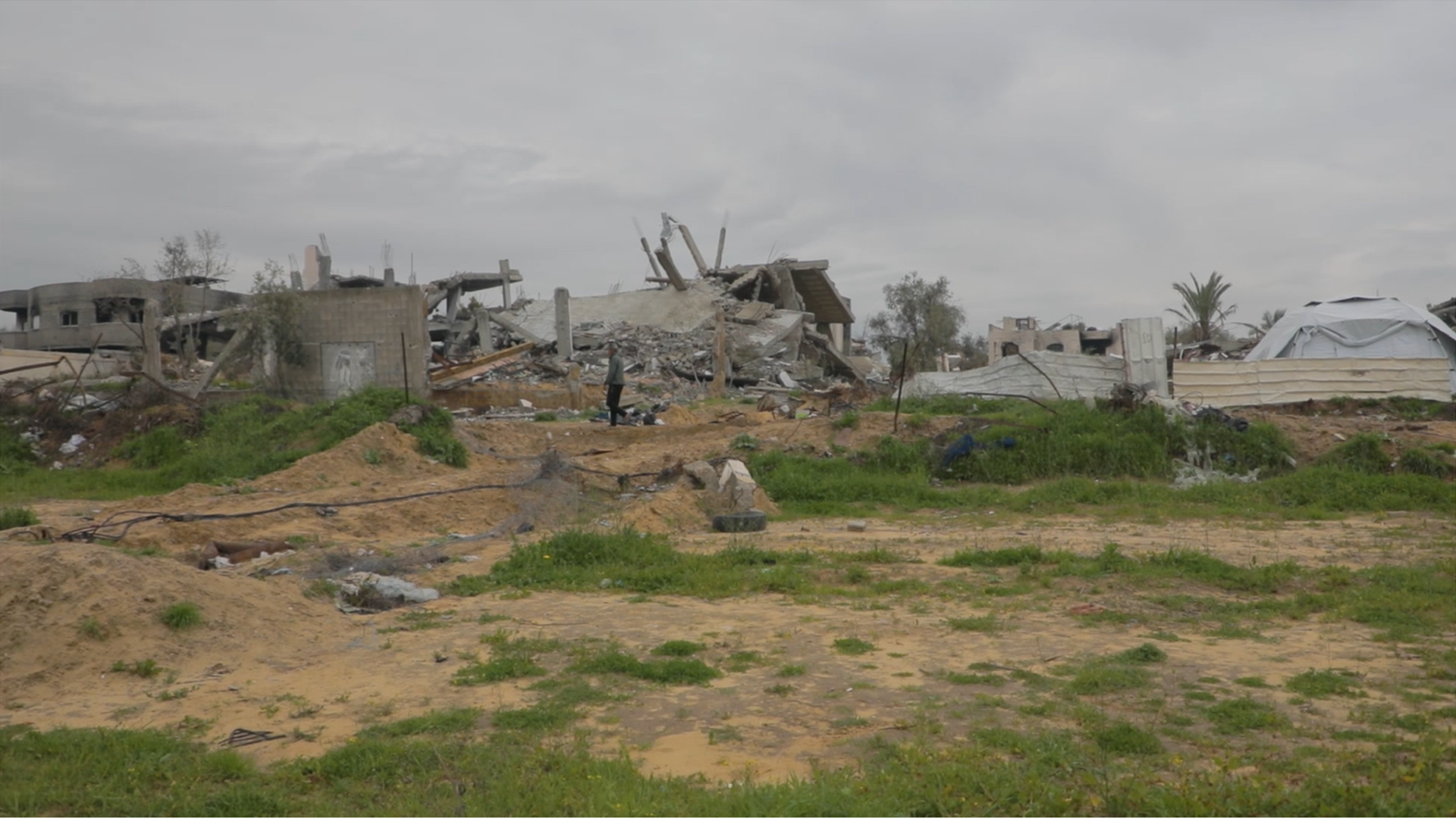 Gaza’s farmers fight to rebuild amid ruins and blockade