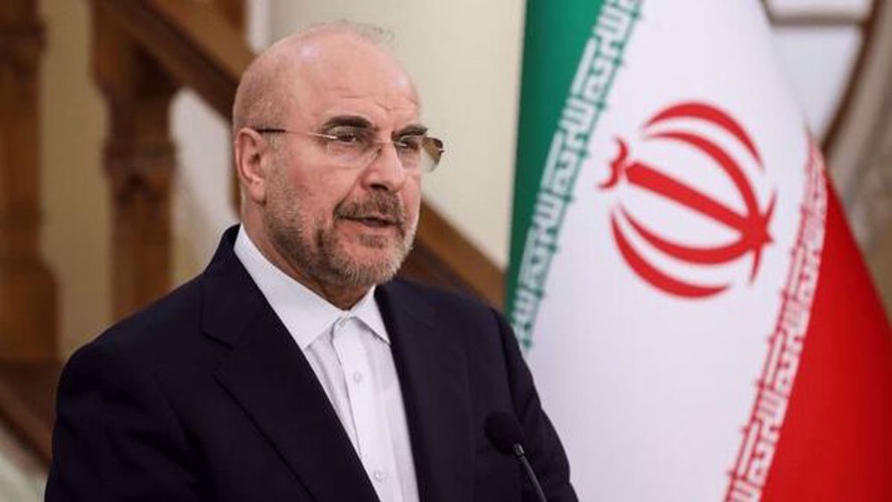 Boosting ties with neighboring, Muslim states a priority for Iran: Parliament speaker