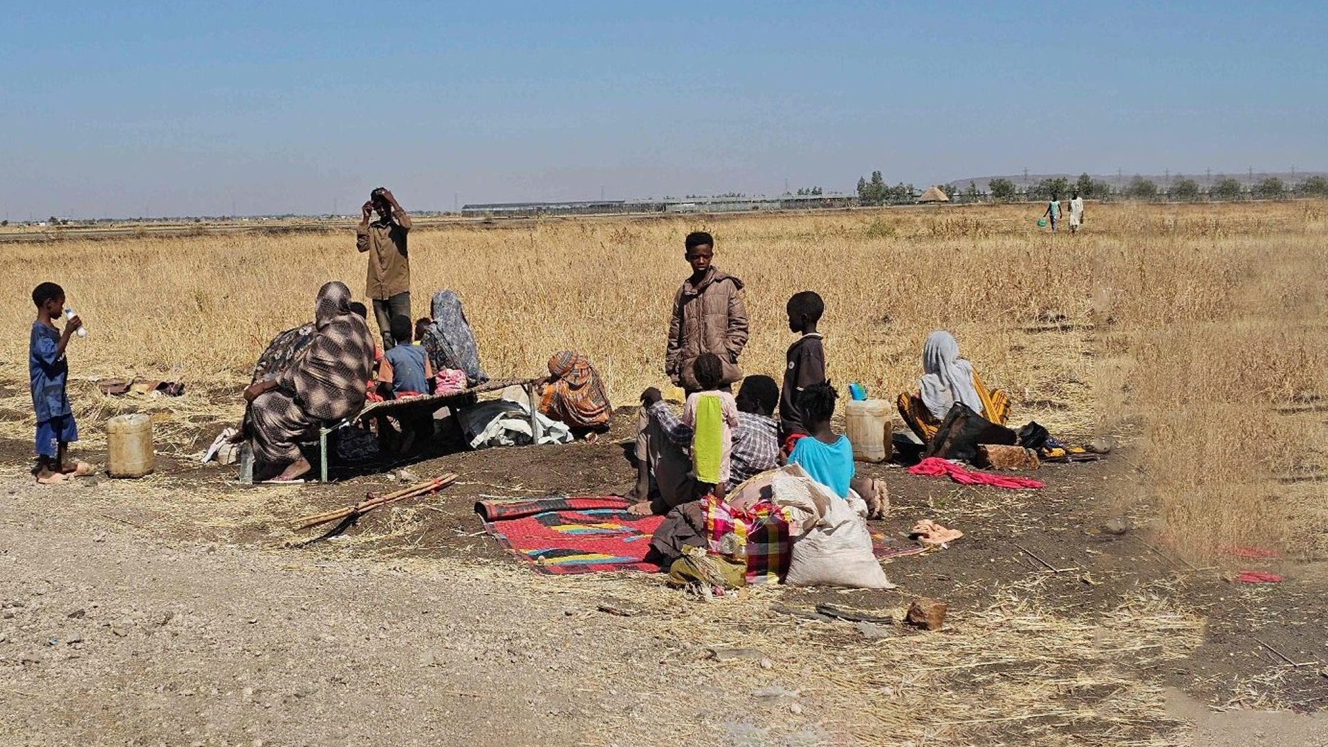 UN reports say RSF crimes in Sudan supported by some regional states