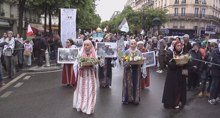 Pro-Palestine rally held in Paris on occasion of Nakba