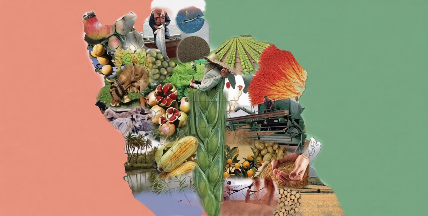 Inside Iran's agricultural revolution and 85% self-sufficiency