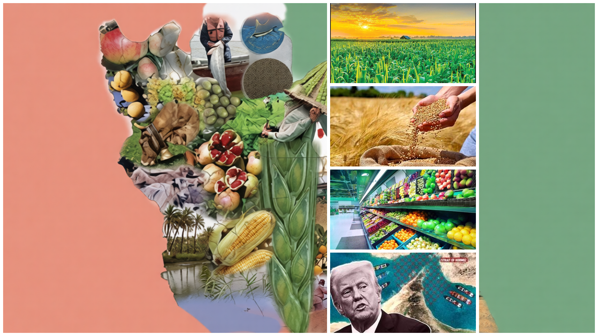 Inside Iran's agricultural revolution and 85% self-sufficiency