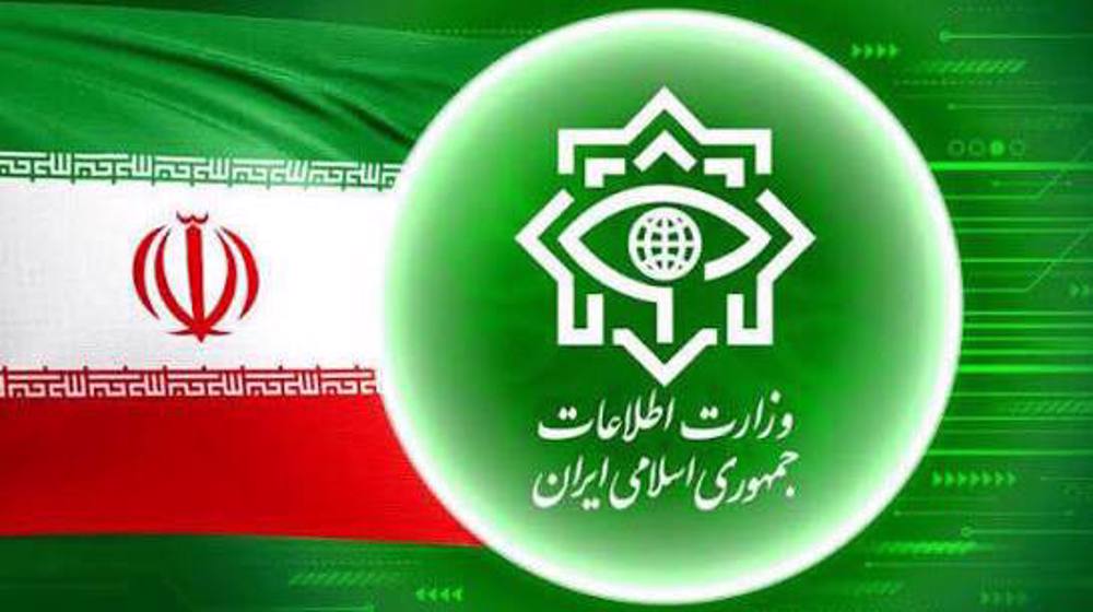 Intelligence forces bust foreign-backed terror team in southern Iran