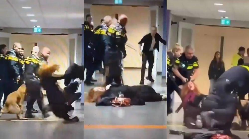 Agression violente de la police néerlandaise contre une Palestinienne enceinte