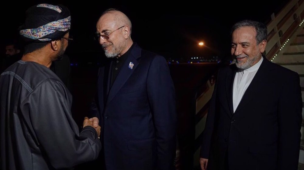Iran, Oman agree to form joint committee on future administration of Hormuz Strait
