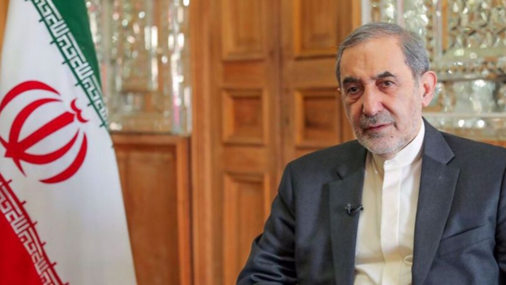 Persian Gulf Arab states owe their stability to Iran’s stewardship of Strait of Hormuz: Leader’s adv