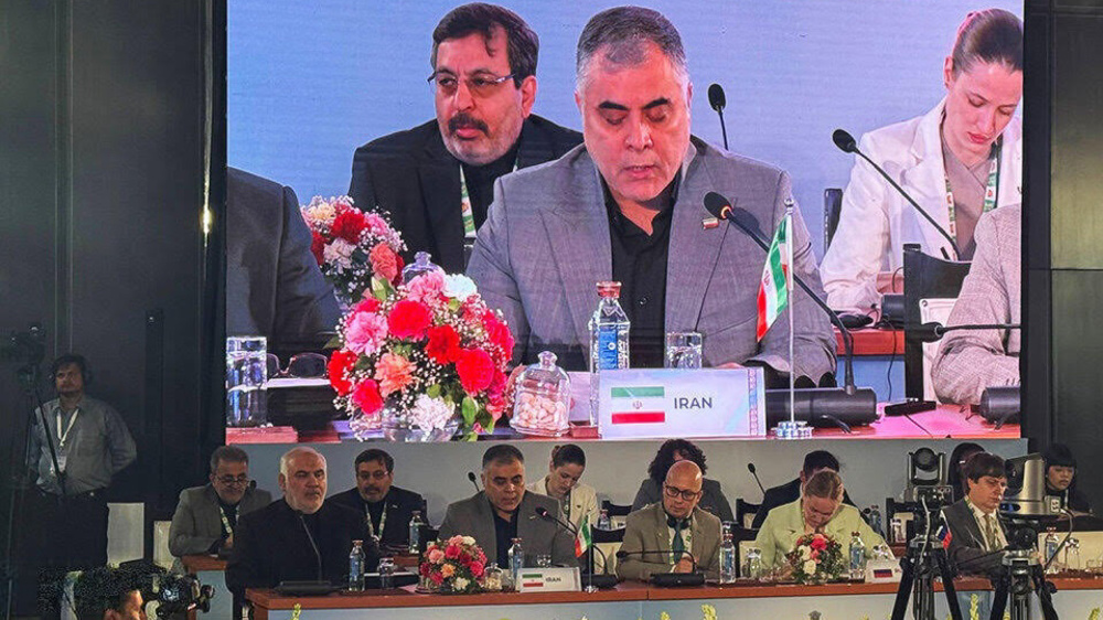 BRICS embraces Iran's emerging power status at India energy summit 