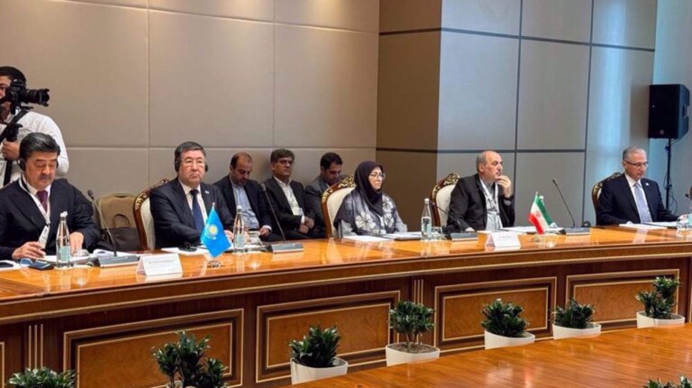 At ECO meeting, Iran’s environment chief condemns 'irreparable' US-Israeli damage 