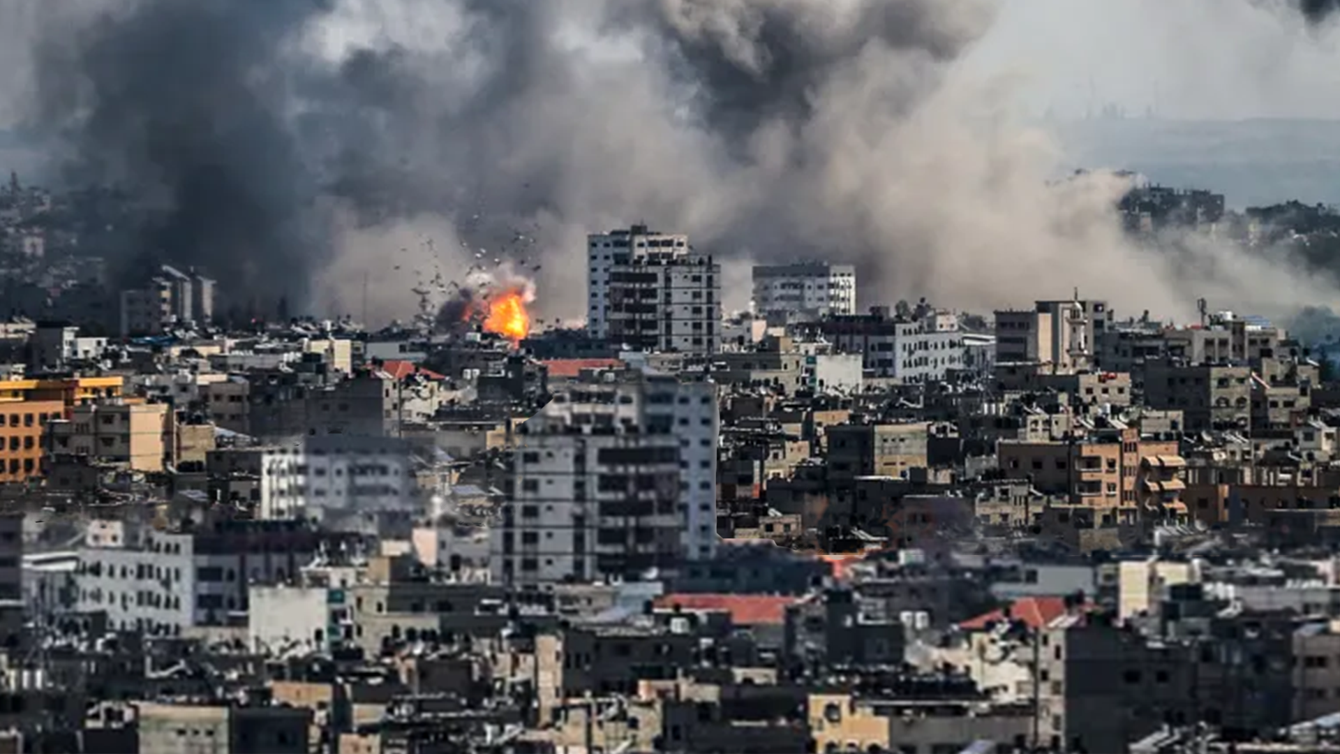 Gaza’s silent climate crisis: War leaves 33.2 million tons of carbon emissions