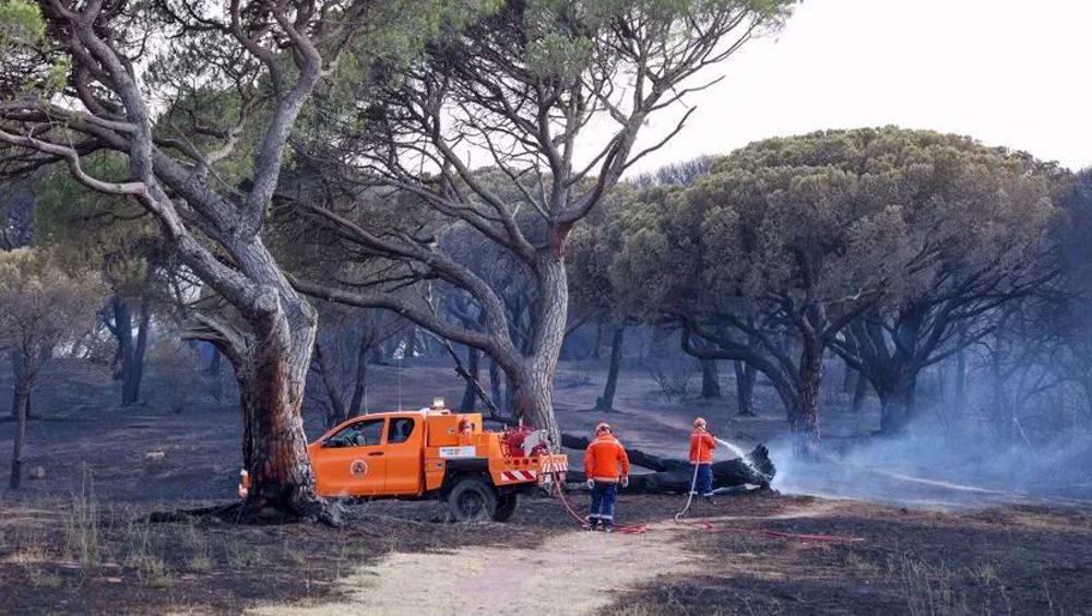 Le sud de la France frappé par un important incendie