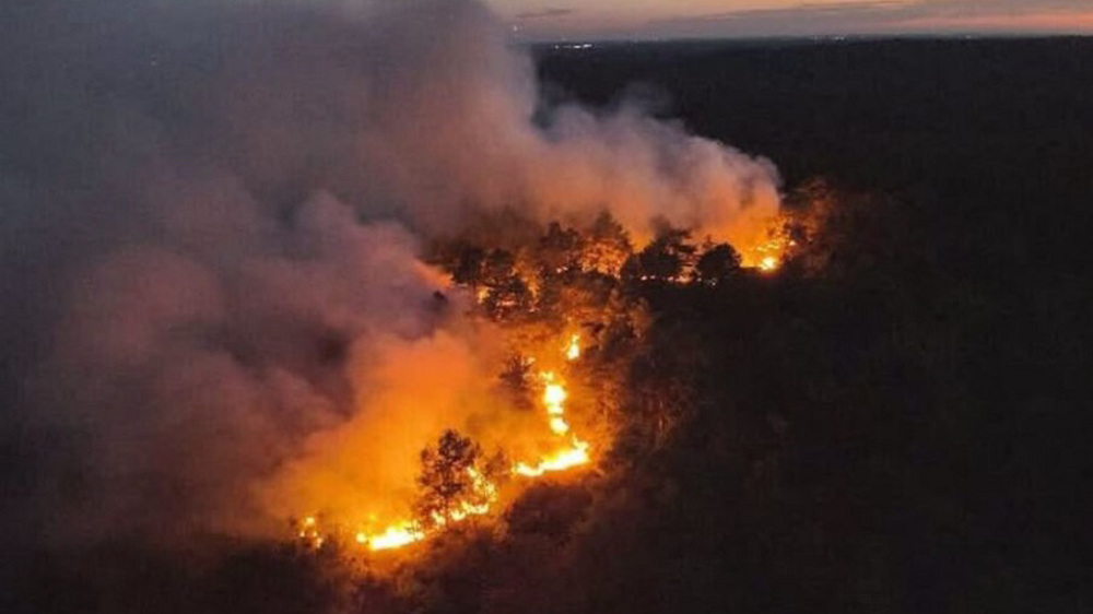 France : 900 personnes évacuées après un incendie dans la forêt de Fontainebleau