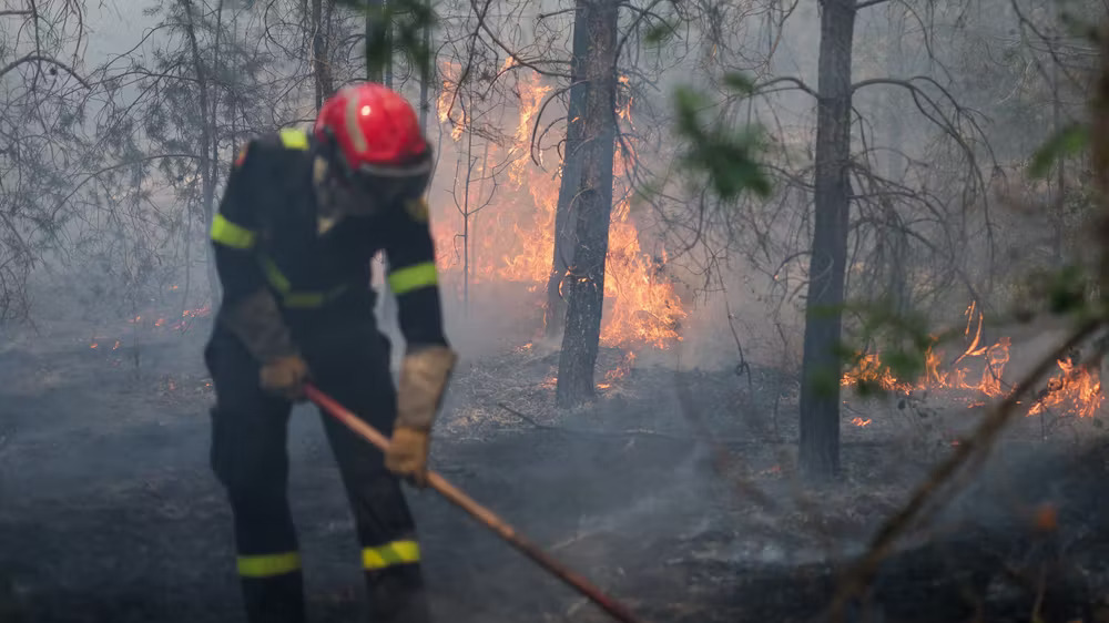 Canicule en France: les feux ont ravagé la forêt de Fontainebleau