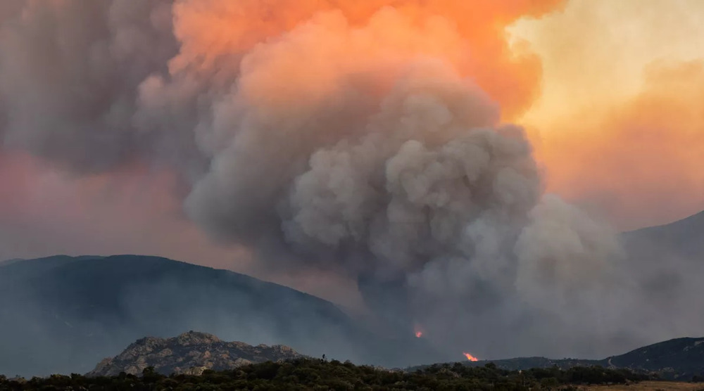 La France : plus de 42 000 hectares de surfaces brûlées depuis le début de 2026