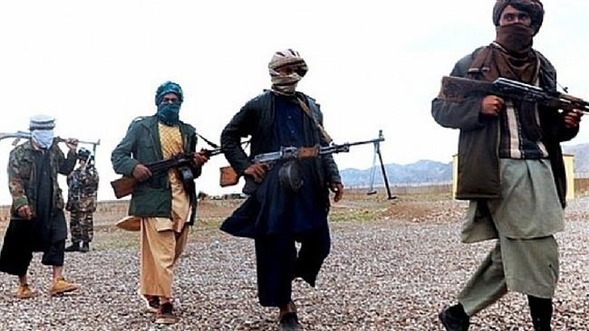 Taliban kill police chief in Afghanistan