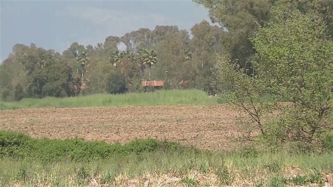 Italy's northern regions struggling with drought