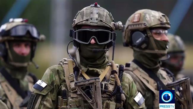 Europe: les handicaps de l'Otan? 