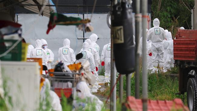 South Korea confirms H5N6 bird flu at duck farm 