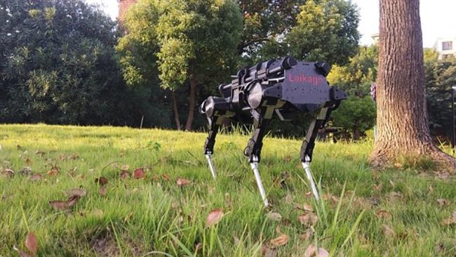 Chinese firm ready to put RoboDog on market
