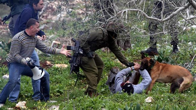 Les fossoyeurs de la Palestine ?