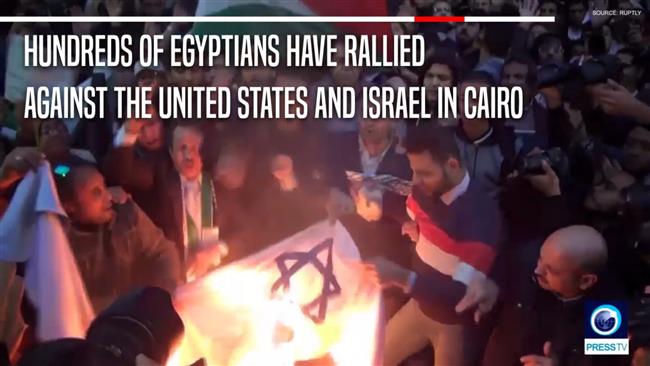 Watch: Egyptian protesters burn Israeli flag 
