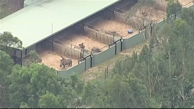 Australia Zoo forced to shut after wild summer storms 