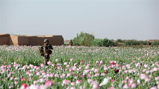 ‘US invaded Afghanistan to protect poppy crops’