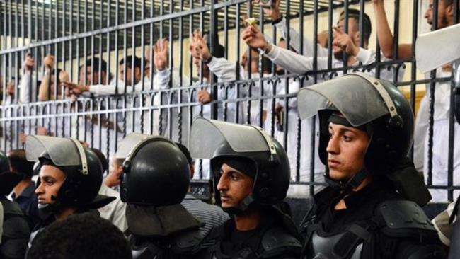 Egypt hangs five more inmates