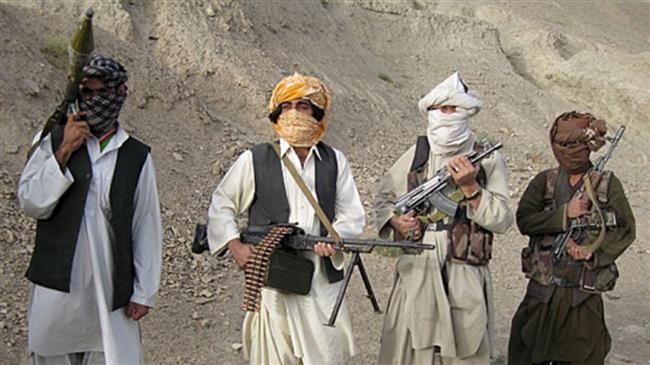 Taliban invites US senator for ‘mutual talks’