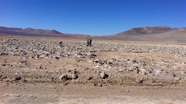 Life detected in world’s driest desert: Study  