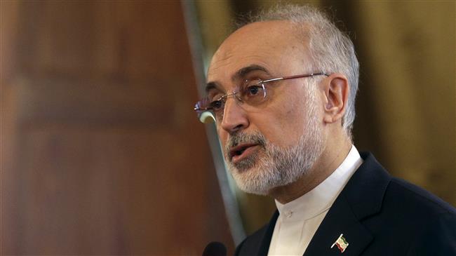 Iran to return to pre-JCPOA conditions if deal fails: AEOI