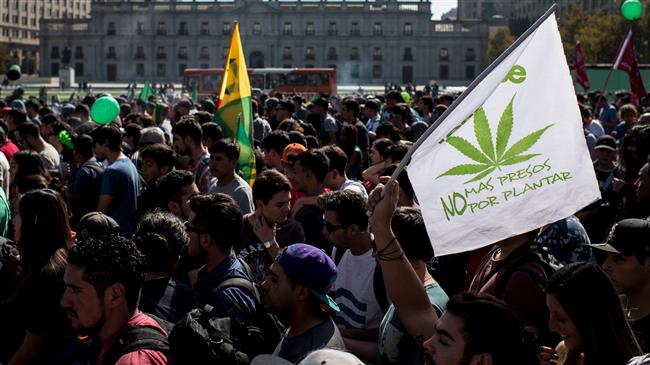 Argentina: Thousands march for ‘homegrown’ marijuana