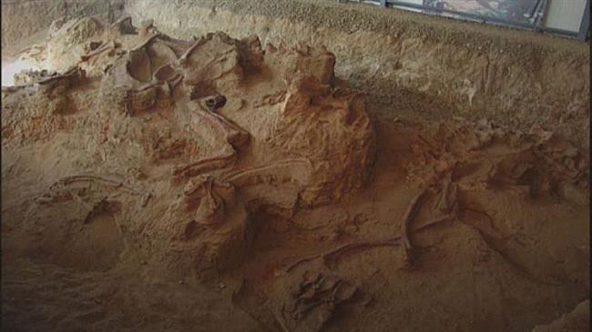 Press TV's The Lite bulletin