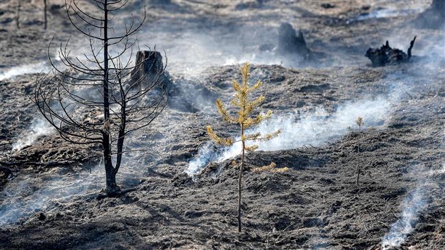 Swedish fighter jets drop bombs on forest fire