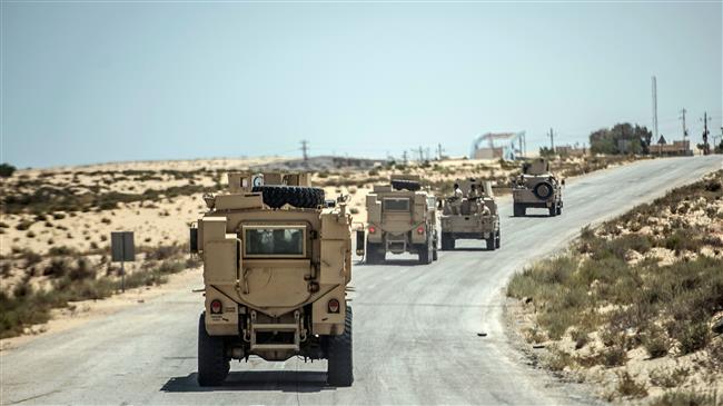 Egypt's military kills 52 militants in Sinai