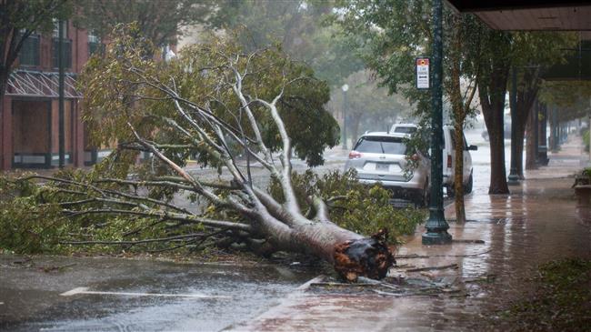 Photos: Destruction left by Hurricane Flo in Carolina