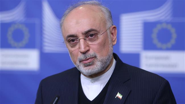 Iran’s 20% uranium enrichment option ‘no bluff’ 