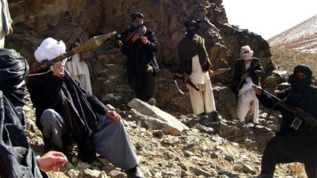 Afghan Taliban attack govt. security posts, kill 21