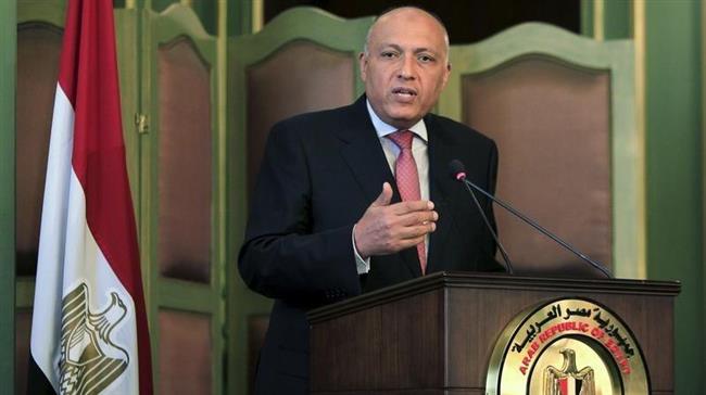 'Syria must get out of crisis to return to Arab League’