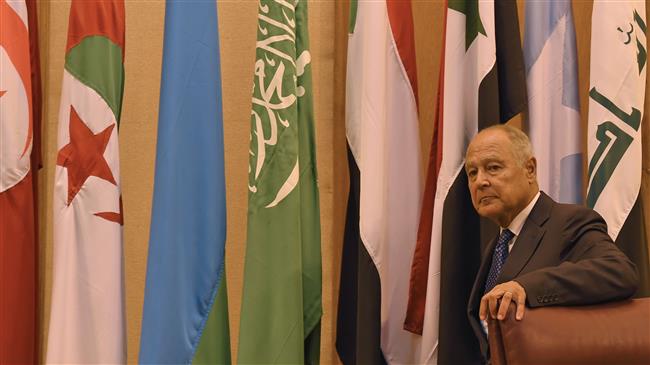 Arab League chief sparks anger over Palestine remarks