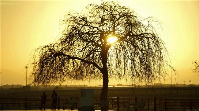 Dems working to nullify Trump’s emergency