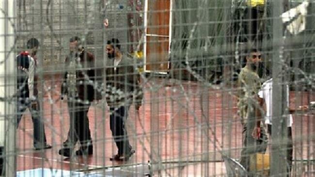 Palestinian prisoners stage new hunger strike in Israeli jail