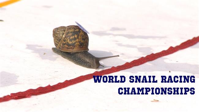 Steady, slow snails slug it out at racing world champs