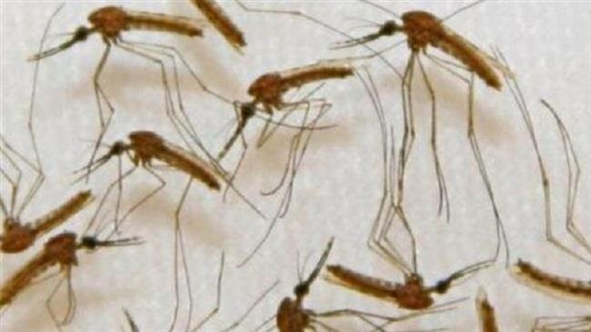 Malaria has killed 1,800 people in Burundi in 2019: UN