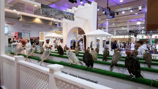 Qataris enjoy Doha's international falcon exhibition