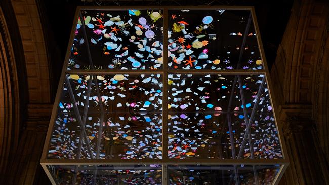 Press TV The Lite Bulletin