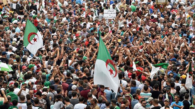 Algerians back on streets to say no to presidential vote