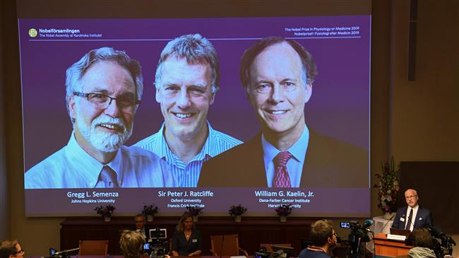 Hypoxia researchers win 2019 Nobel Prize in Medicine